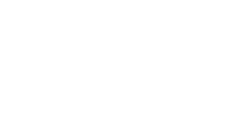 IDA IT